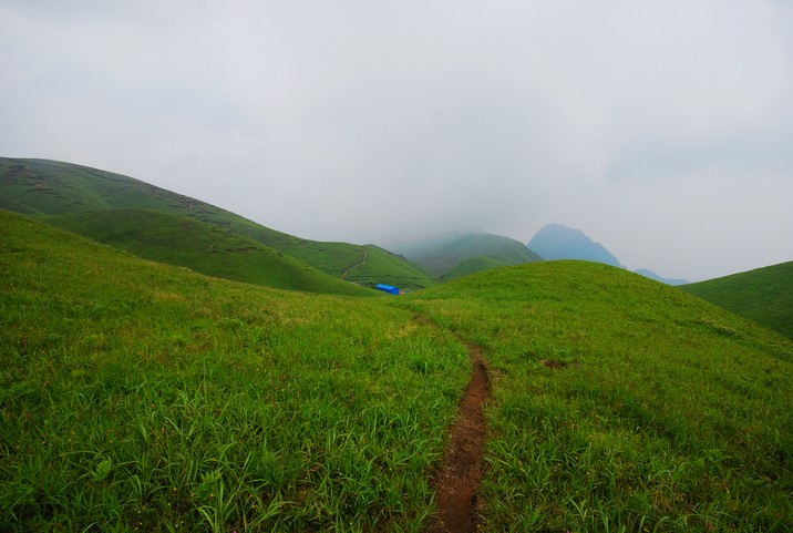DSC_0258.jpg
