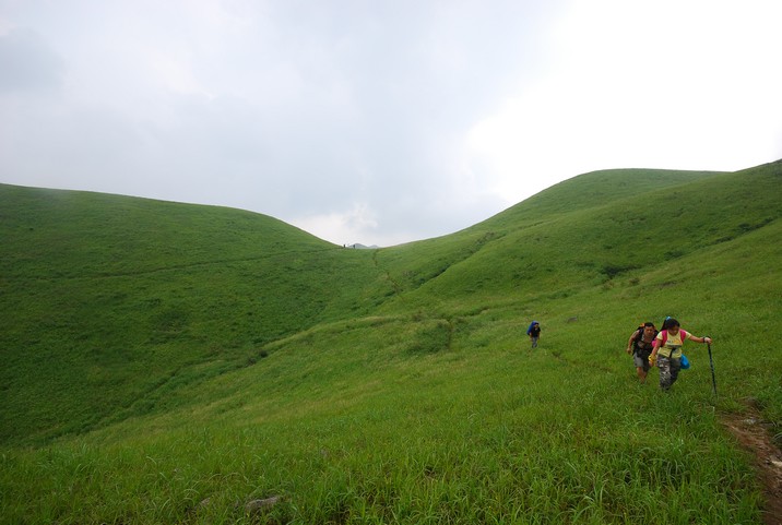 DSC_0255.jpg