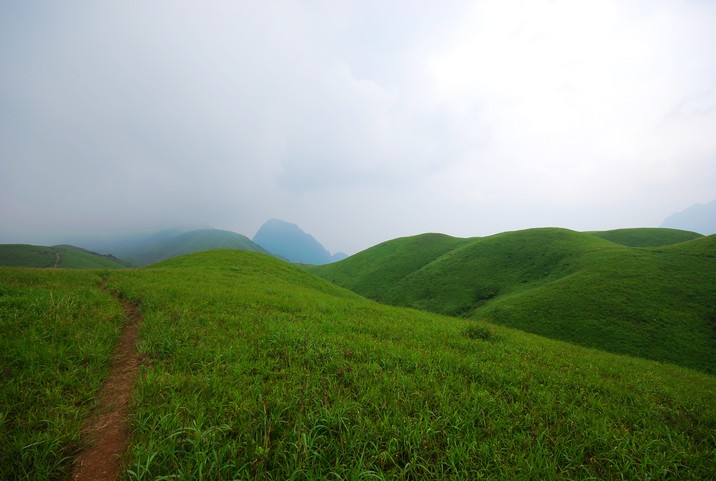 DSC_0256.jpg