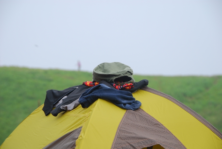 DSC_0316.jpg