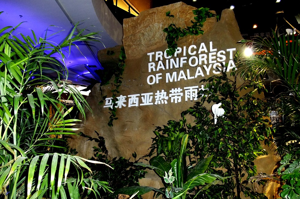 DSCF0648.jpg