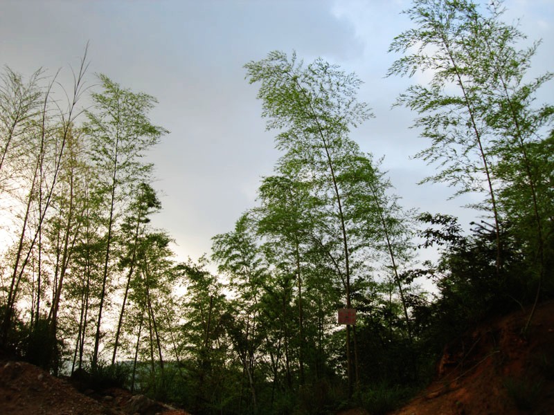 DSC08204.JPG