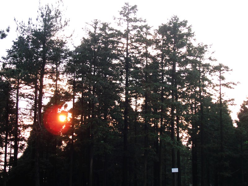 DSC08215.JPG