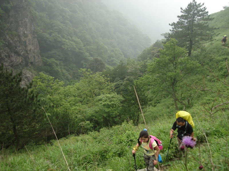 DSC08470.JPG