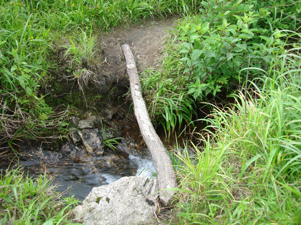 DSC08505.JPG