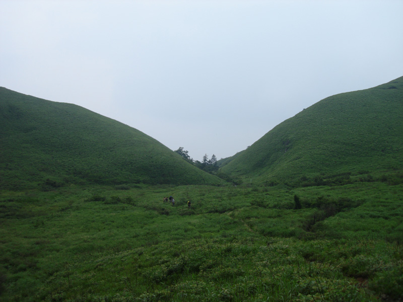 DSC08506.JPG