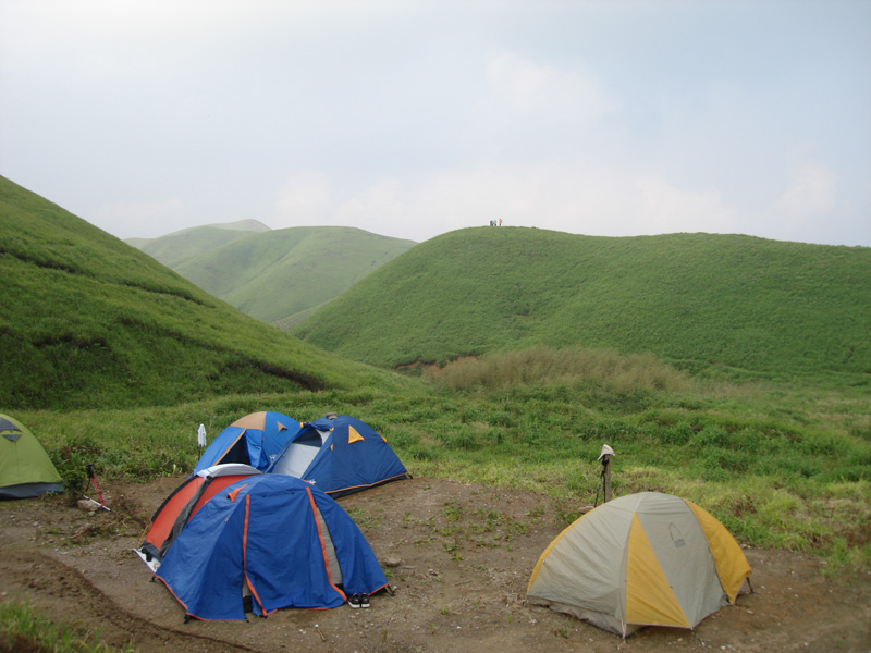 DSC08535.JPG