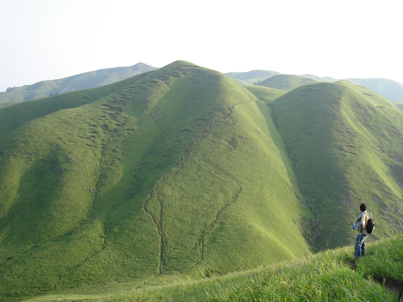 DSC08562.JPG