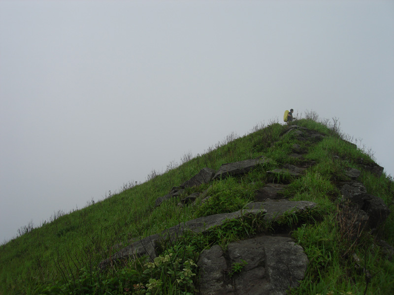 DSC08682.JPG