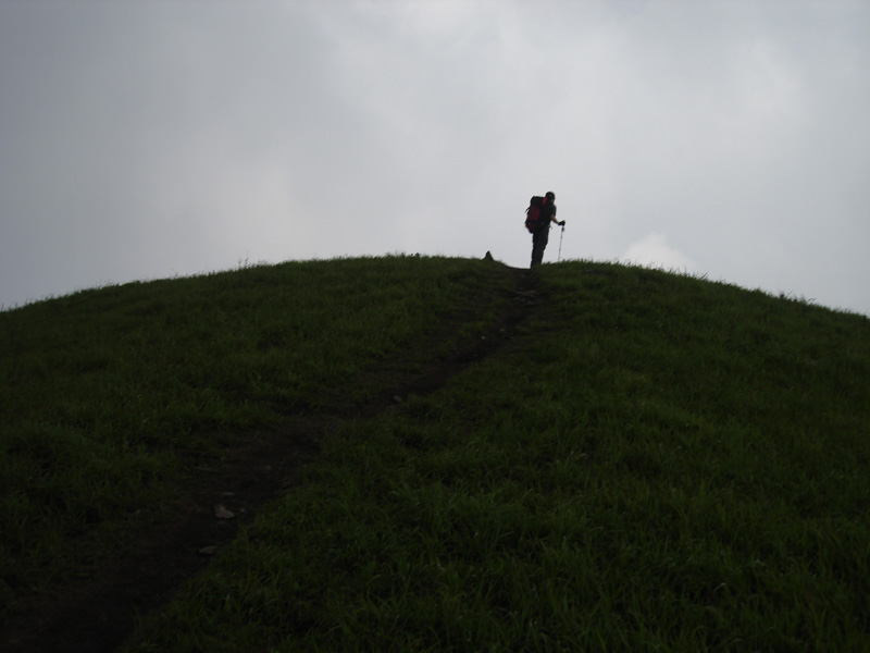DSC08697.JPG