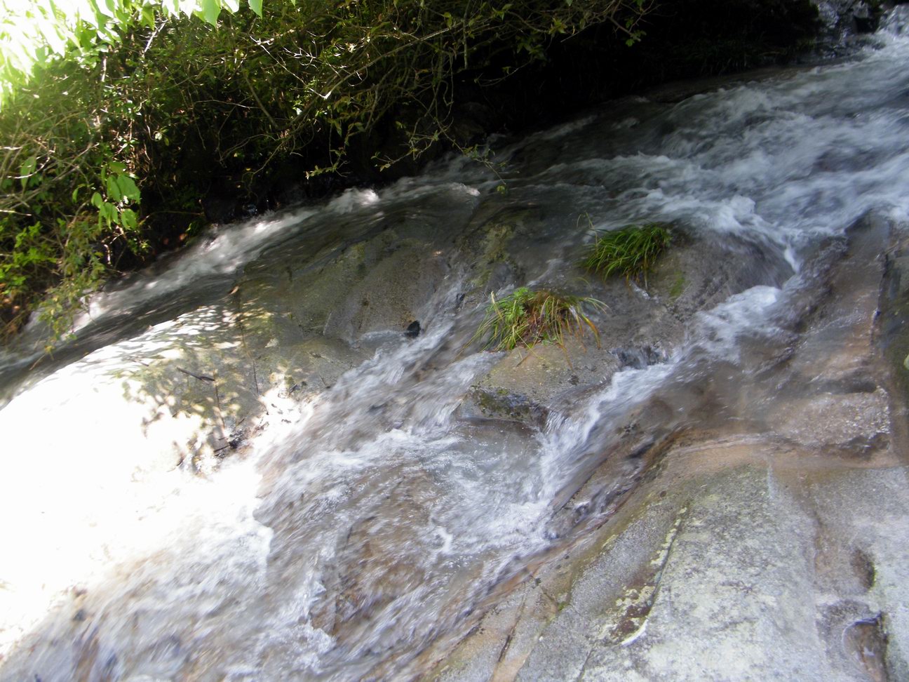 DSCF0398.JPG