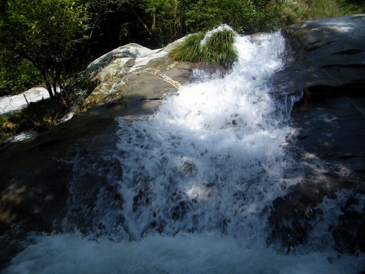 DSCF0408.JPG