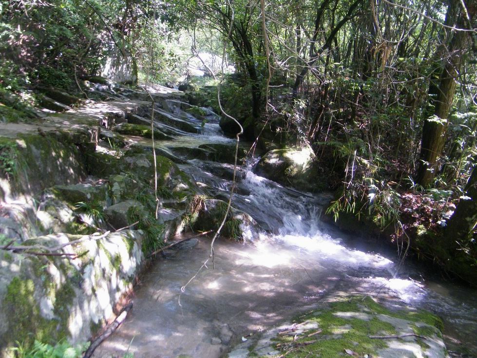 DSCF0410.JPG