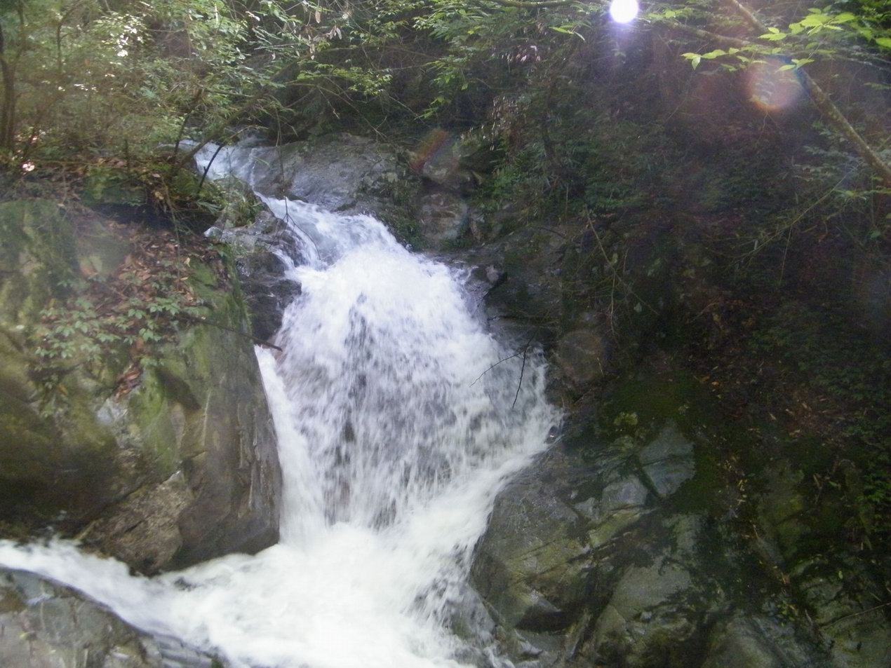 DSCF0413.JPG