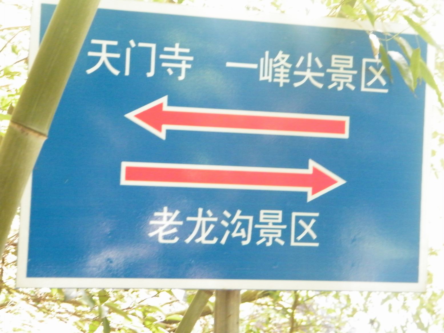DSCF0430.JPG