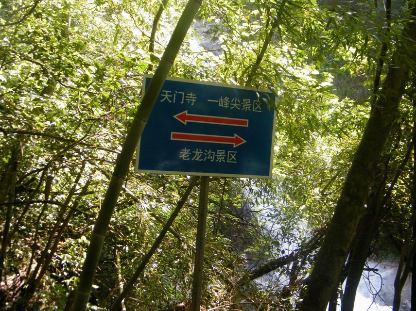 DSCF0431.JPG