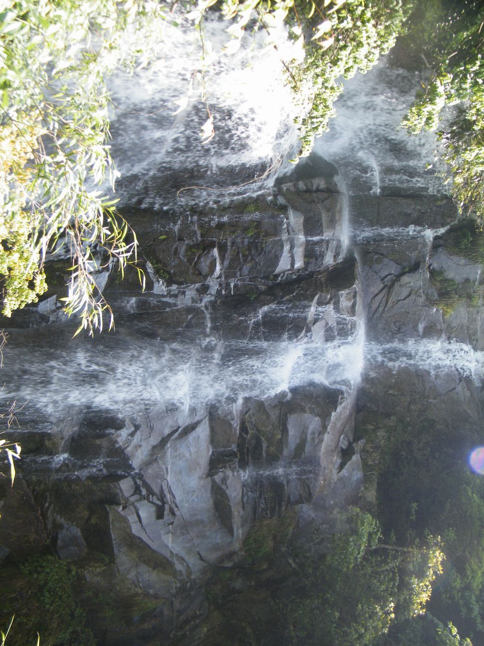 DSCF0451.JPG