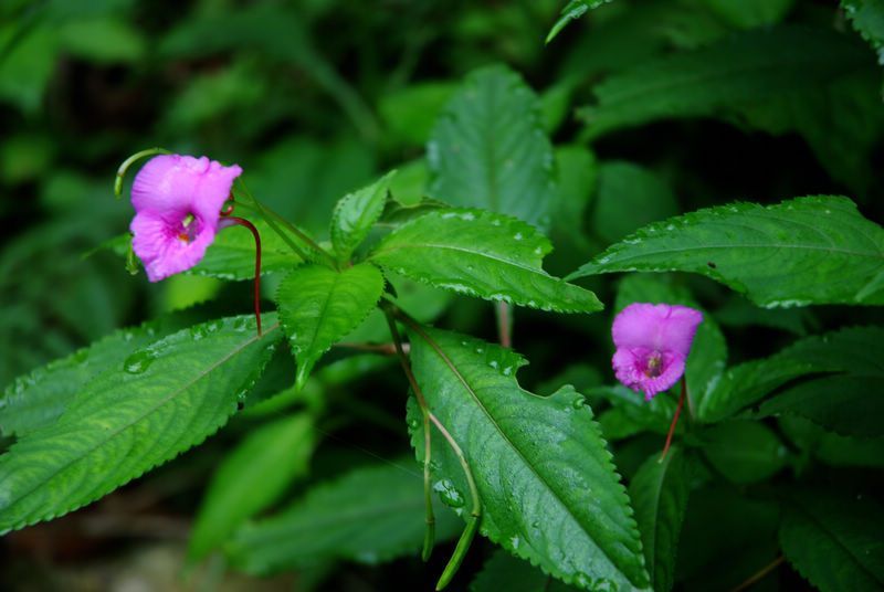 DSC_6431.jpg