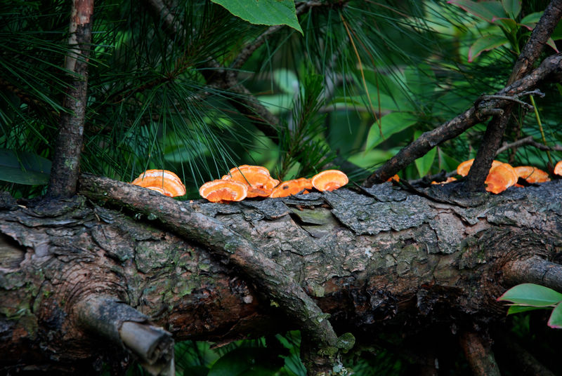 DSC_6441.jpg