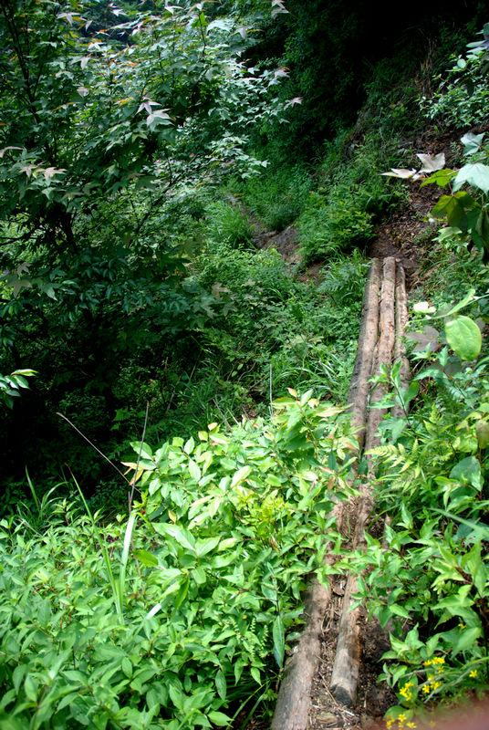 DSC_6490.jpg
