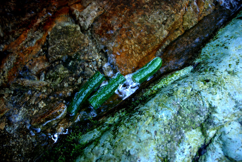 DSC_6505.jpg
