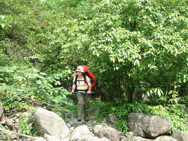 DSC08423.JPG