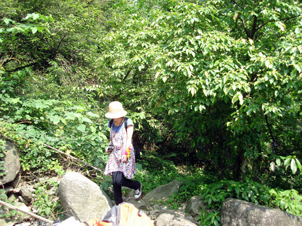 DSC08429.JPG