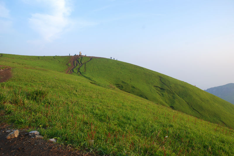 DSC_6677.jpg