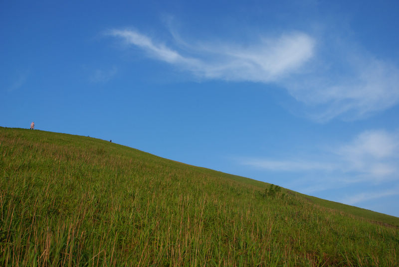 DSC_6684.jpg