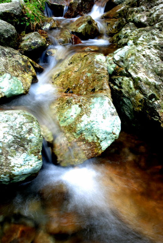 DSC_6736.jpg