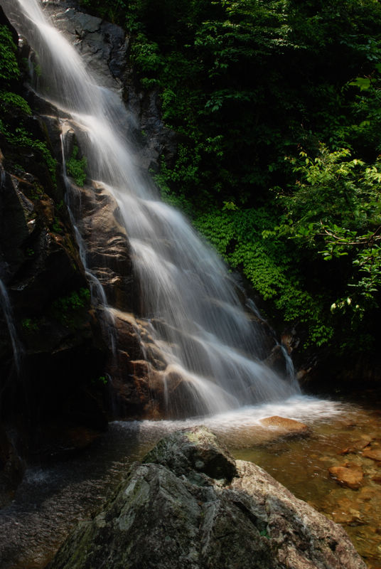 DSC_6750.jpg