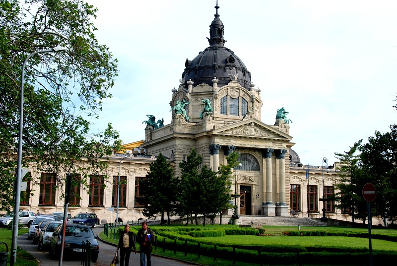 DSC_0597ooo.jpg