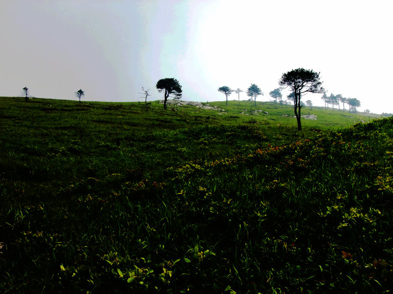 DSCF4133.JPG