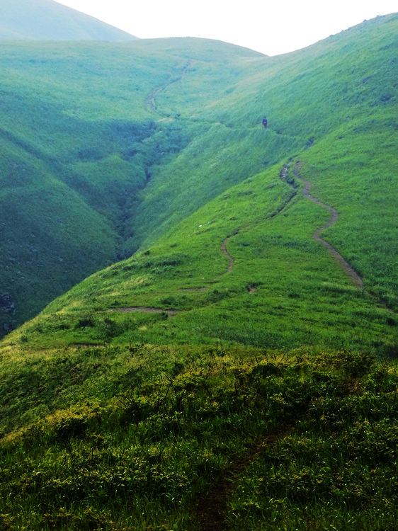 DSCF4239.JPG
