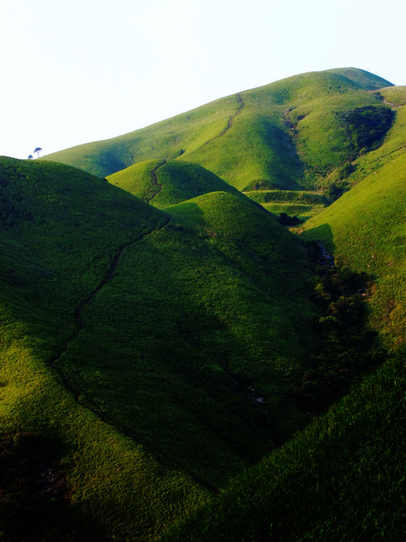 DSCF4275.JPG