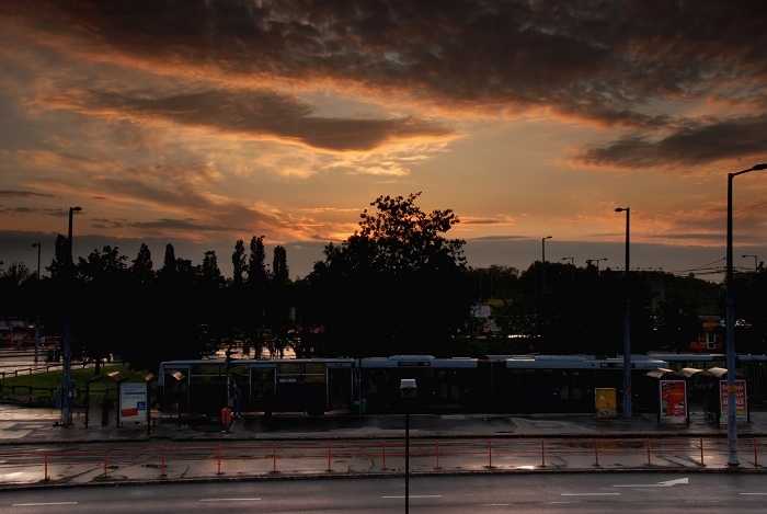 DSC_1154.jpg