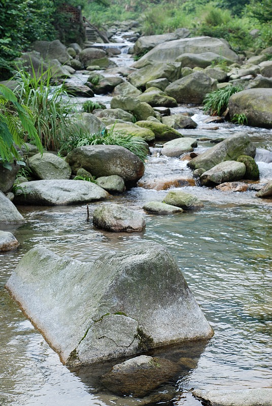 DSC_0375.jpg