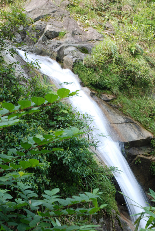 DSC_0439.jpg