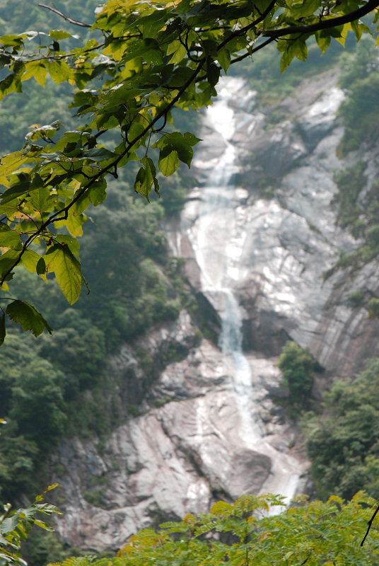 DSC_0482.jpg