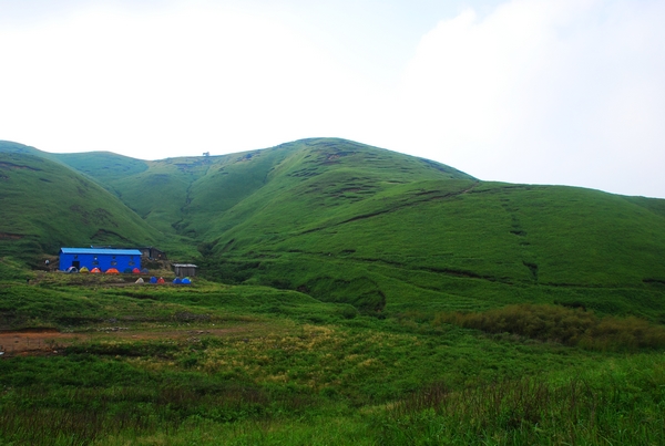 DSC_0410.jpg