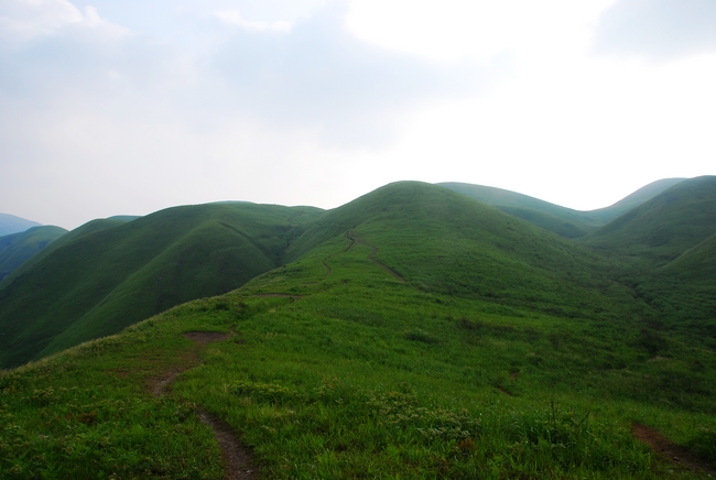 DSC_0414.jpg
