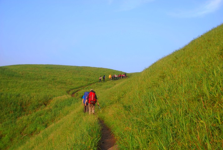 DSC_0505.jpg