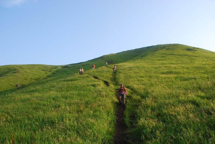 DSC_0533.jpg