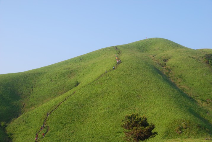 DSC_0544.jpg