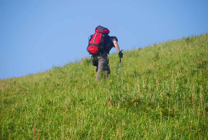 DSC_0552.jpg