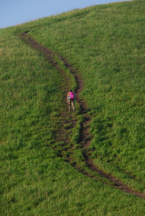 DSC_0569.jpg