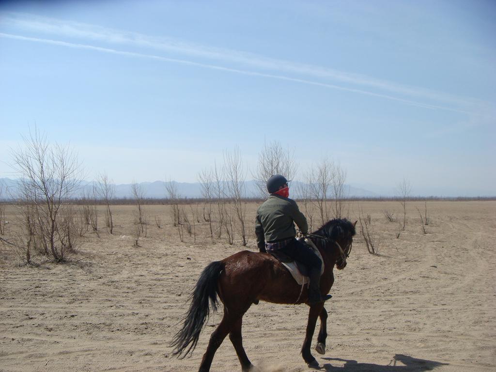 DSC03438.JPG