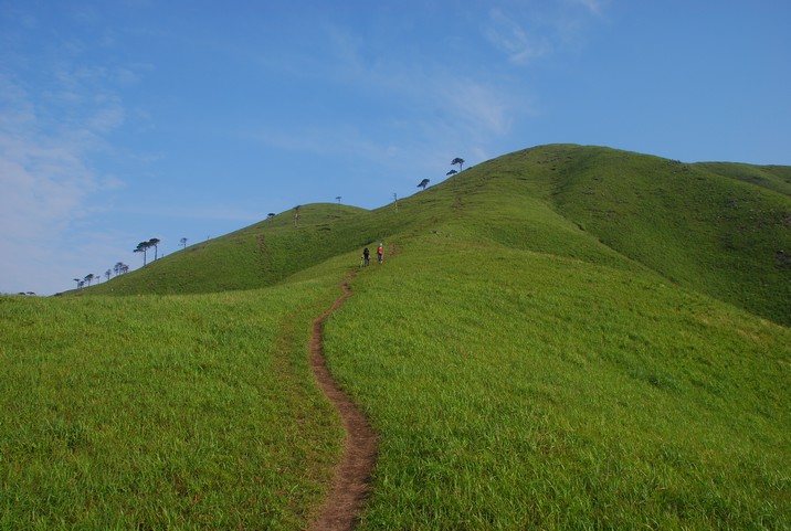 DSC_0599.jpg