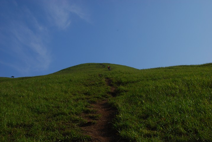 DSC_0605.jpg