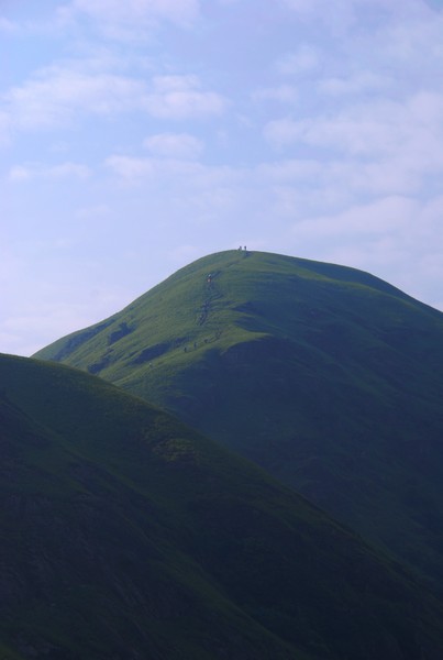 DSC_0610.jpg